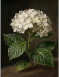 Hydrangea Diamond Art Kits for Adults Round Diamond Painting 12x16 Inch
