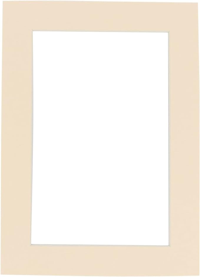8x10 Mat Bevel Cut for 5.5x8.5 Photos by Poster+Palooza