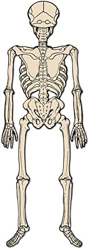 Beistle Vintage Halloween Jointed Skeleton Decoration – 4 Ft. 3 In.