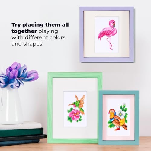 Citrichand Small Diamond Art Kits, Bird Collection 8 Pack for Adults