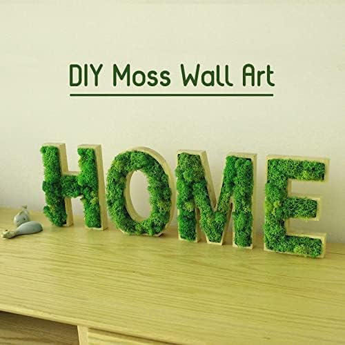 Preserved Reindeer Moss Natural Green DIY Kit Gardenning Art Wall Decor Florist - Image 4
