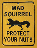 Funny Tin Sign Mad Squirrel Protect Your Nuts Metal Poster Plaques by HERYNLRN