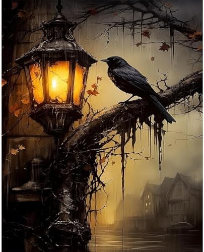 PHANTASYART Gothic Paint by Numbers Kit for Adults 16x20inch