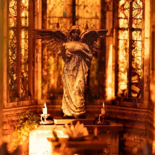 fifijoy Book Nook Kit - Abandoned Gothic Church DIY Miniature Dollhouse for Adults and Teens, Booknook Tiny House Bookshelf Decor 3D Wooden Puzzle with LED Lights, Creative Gifts for Family, Friends