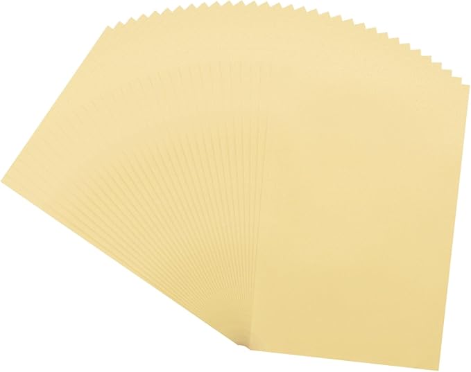 MECCANIXITY 100 Sheet Colored Vellum Paper 4" x 6", 100gsm Translucent by MECCANIXITY