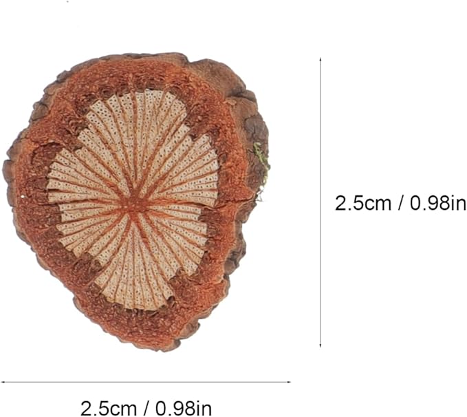 GALPADA Christmas Tree Bark Wood Slices Xmas Ornaments Mini Natural Vintage - Image 4