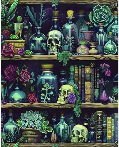 PHANTASYART Gothic Bookshelf Paint by Numbers Kit for Adults 16x20inch