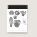 2025-2026 Stamps and Dies for Card Making, Stamps and Dies Set 2025 for by HITKUZ