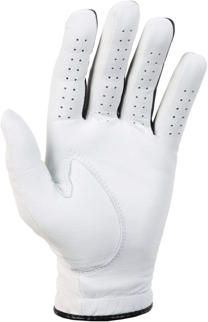 Titleist Players Flex Men's Regular Left Pearl, Large