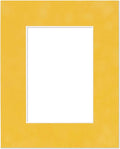 8x10 Mat Bevel Cut for 5.5x8.5 Photos by Poster+Palooza