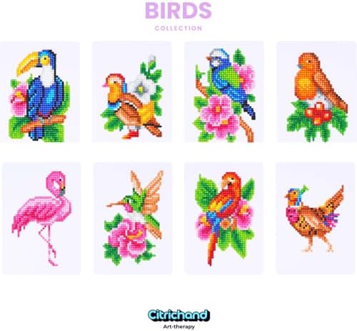 Citrichand Small Diamond Art Kits, Bird Collection 8 Pack for Adults