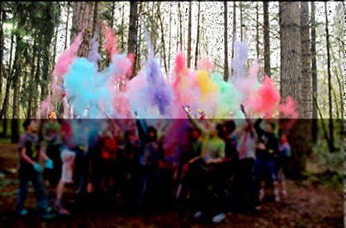 ColorMarathon Premium Quality non-toxic HOLI Colors color powder - Image 5