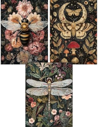 GOUOYANA 3 Dragonfly Insect Paint By Numbers Kit for Adults Acrylic Canvas