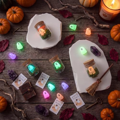 Skylety 30 Sets Halloween Figurine in Mason Jars with Moss and Card Glow in the Dark Figurine Luminous Creepy Crafts Spooky Crafts for Halloween Decorations DIY Party Gifts