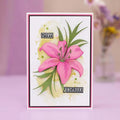 Cutting Dies Metal Stencils Scrapbooking Tools DIY Embossing Template by Annchaos
