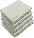 ReArt Non-Drying Oil-Based Plasticine Modeling Clay 2.6 Pounds, Non Hardening by ReArt