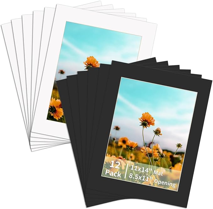 ZBEIVAN 12 Packs White and Black Colors 11x14 Picture Frame Mats by ZBEIVAN