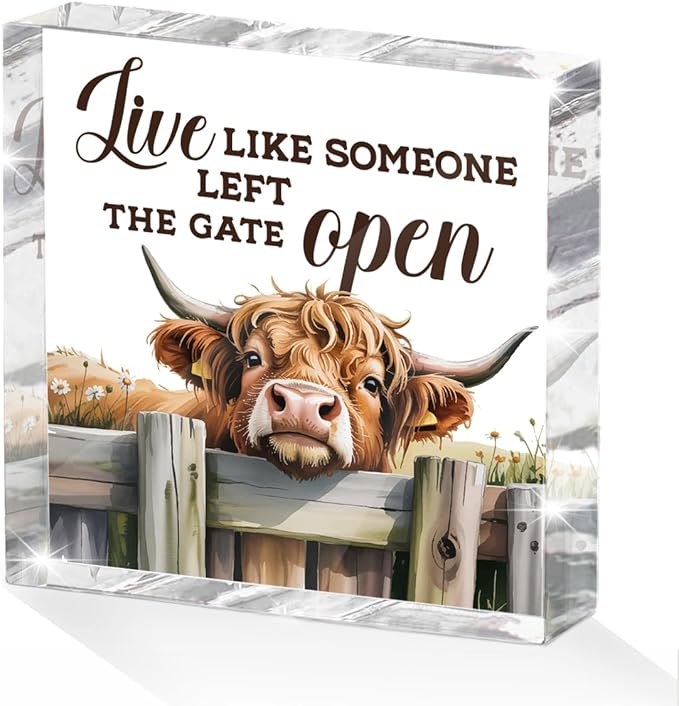 Cute Cow Decorative Signs, Rustic Western Animal Office Desk Decor Acrylic Sign by Unknown