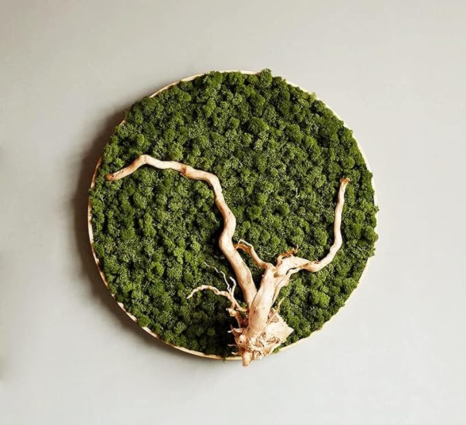 Preserved Reindeer Moss Natural Green DIY Kit Gardenning Art Wall Decor Florist - Image 3