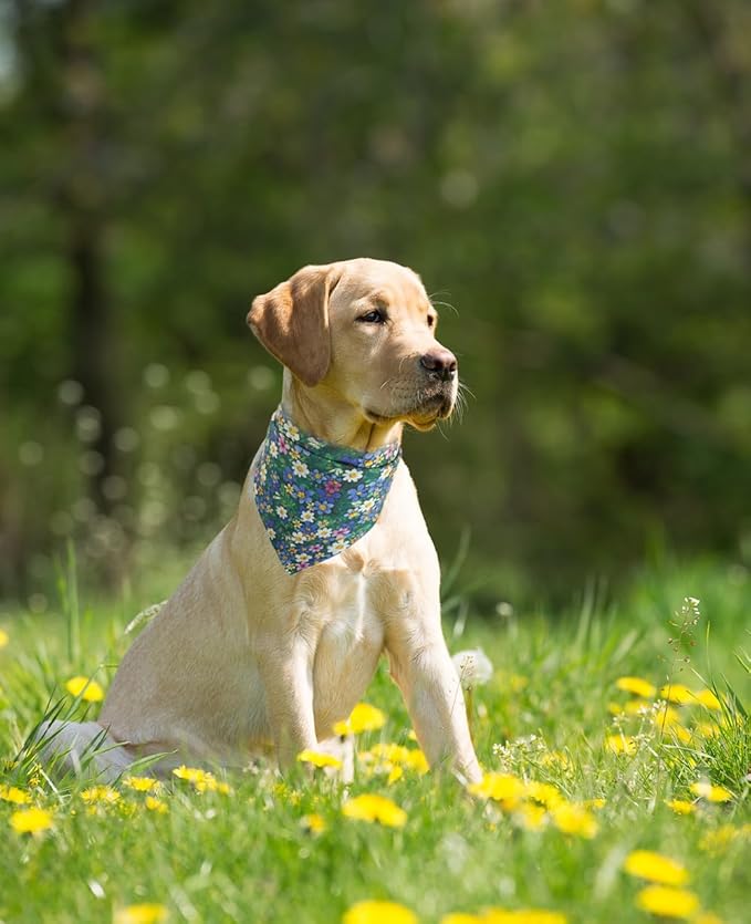 Dog Bandana Reversible Triangle Bibs Scarf Accessories Flower for Cats Pets Animals