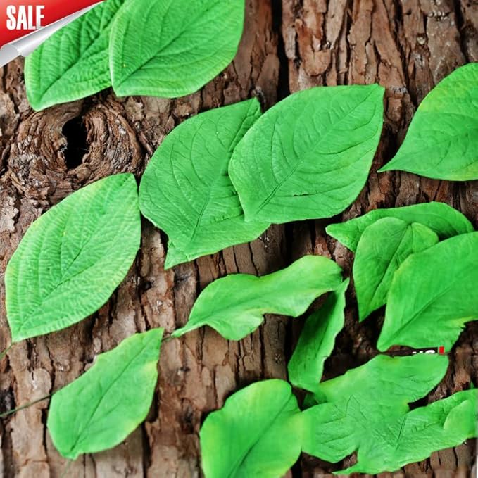KALAIEN 8Pcs Sugar Paste Leaf Veiners Fontant Mold Fondant Silicone Leaf - Image 8