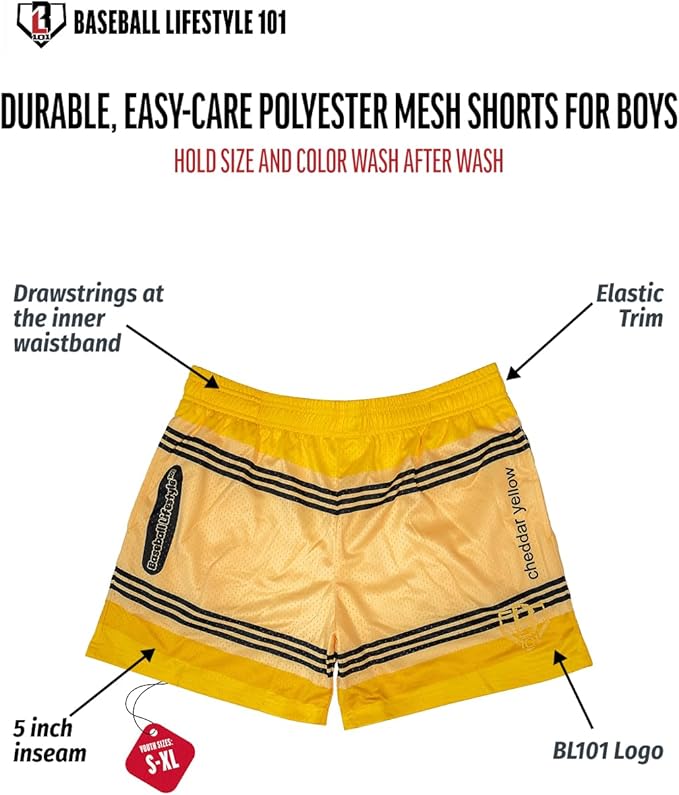 Baseball Lifestyle 101 Boy's Crayon Mesh Shorts w/Side Pockets and Elastic Waist, 5 in Inseam, Youth Sizes S-XL