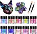 10 Colors Chameleon Mica Powder Color Shift Pigment Powder by OSBANG