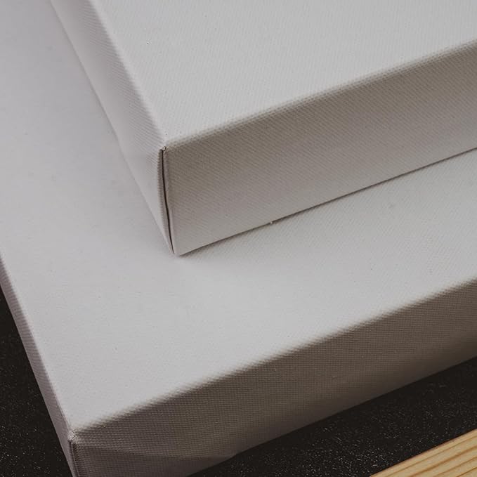 PHOENIX 24x24 Inch Museum Canvas - Image 5