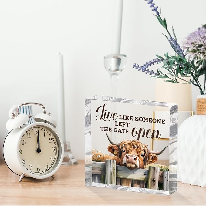Cute Cow Decorative Signs, Rustic Western Animal Office Desk Decor Acrylic Sign - Image 6