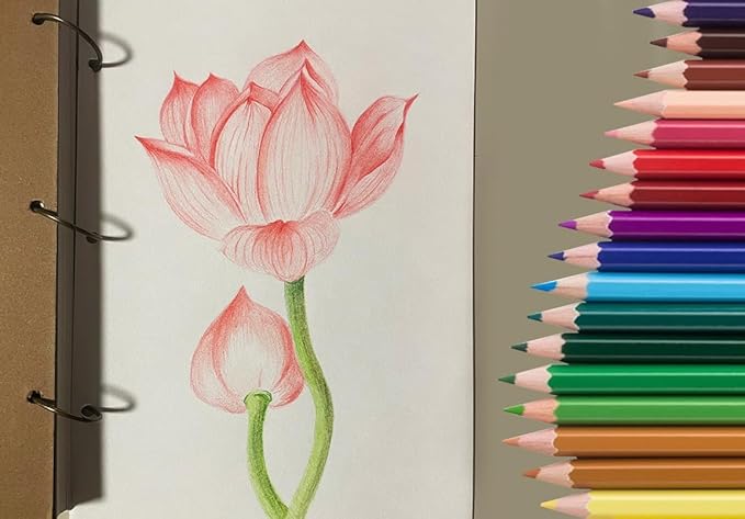 SKKSTATIONERY 50Pcs Colored Pencils, 50 Vibrant Colors, Drawing Pencils - Image 6