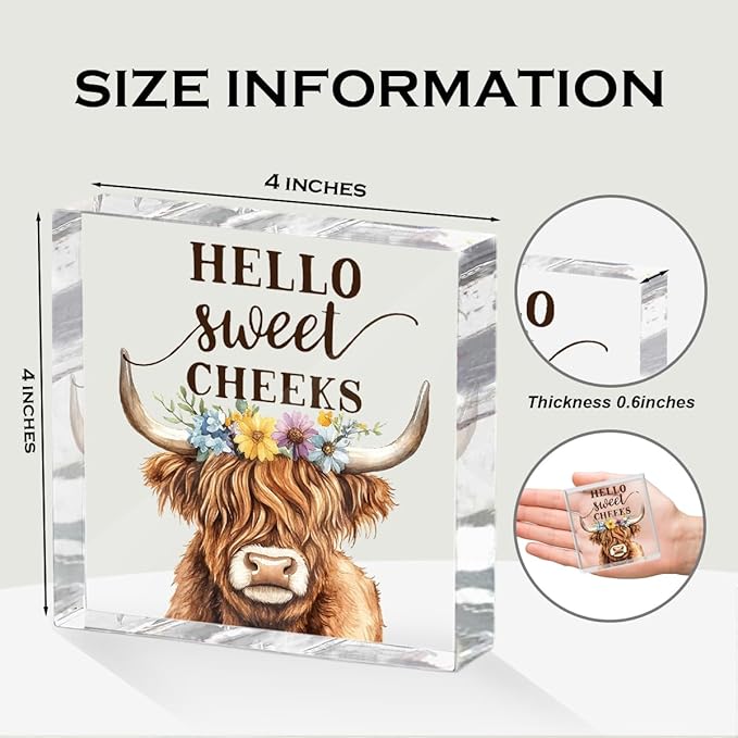 Funny Cow Decorative Signs, Rustic Western Animal - Image 2