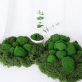 6 PCS Artificial Moss Rocks Decorative, Moss Stones, Fake Moss Decor by Unknown