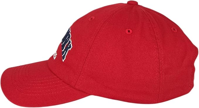 Elidan NY Dad Hat New York EST.1625 Cotton Cap, Adjust Buckle Strap, Unstructured Low-Profile NY Baseball Cap for Men & Women
