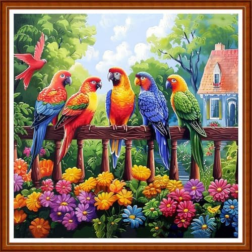 Joyhoor Stamped Cross Stitch Kits for Beginners Needlepoint Kits for Adults Embroidery Kits 11CT Counted Cross Stitch Kits Printed Embroidery Pattern- Colorful Birds and Flowers 18x18 inchs