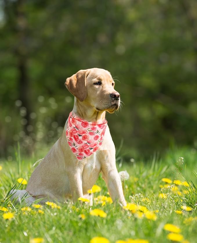 2 Pack Dog Bandana Reversible Triangle Bibs Scarf Accessories Butterfly Flower for Cats Pets Animals