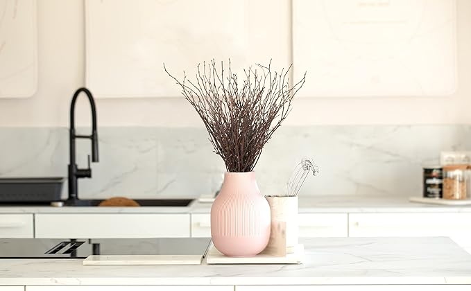 Uieke 100PCS Natural Dried Birch Twigs - Image 6