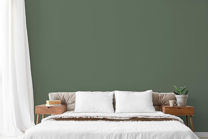 EVOLVE Paint & Primer: Environment-friendly, Eggshell - Image 4