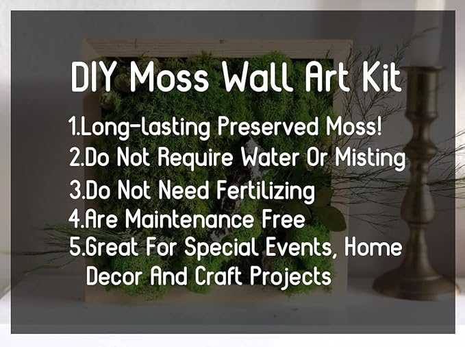 Preserved Reindeer Moss Natural Green DIY Kit Gardenning Art Wall Decor Florist - Image 7
