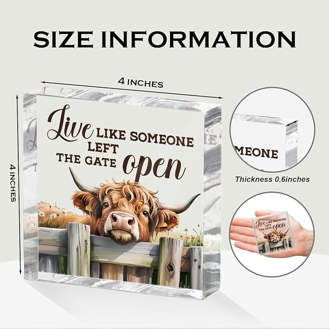 Cute Cow Decorative Signs, Rustic Western Animal Office Desk Decor Acrylic Sign - Image 2