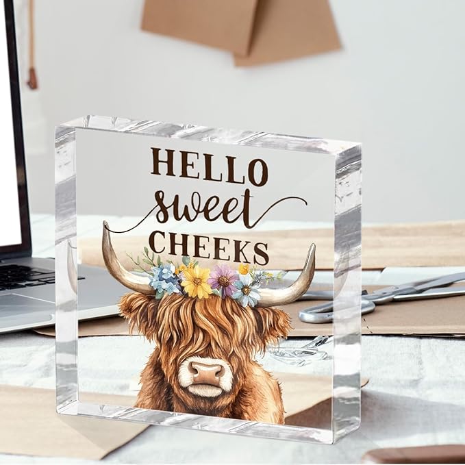 Funny Cow Decorative Signs, Rustic Western Animal - Image 4