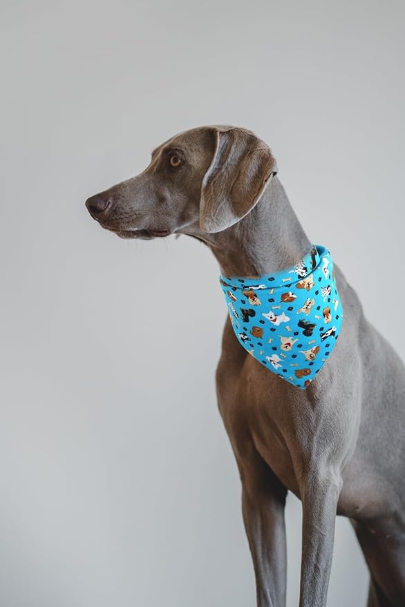 Dog Bandana Reversible Triangle Bibs Scarf Accessories for Cats Pets Animals
