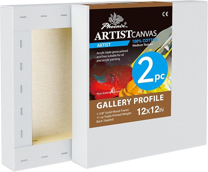 PHOENIX 12x12 Inch 2 Pack Gallery Canvas by PHOENIX