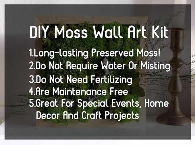 Preserved Reindeer Moss Natural Green DIY Kit Gardenning Art Wall Decor Florist - Image 2