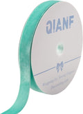Vintage Turquoise Blue Velvet Ribbon, 1 Inch X 25Yd by QIANF