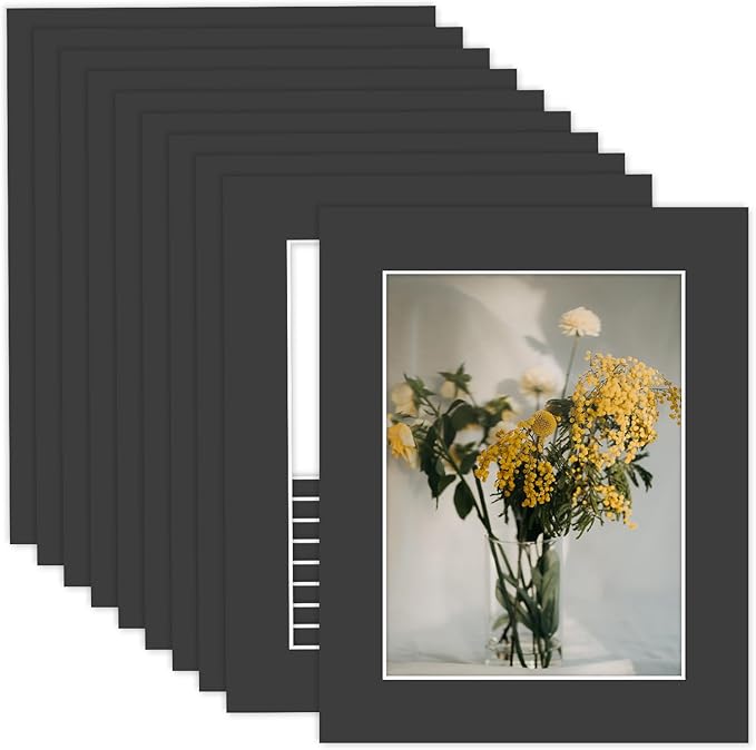 MBC MAT BOARD CENTER, 10 Pack 8x10 by MatBoardCenter