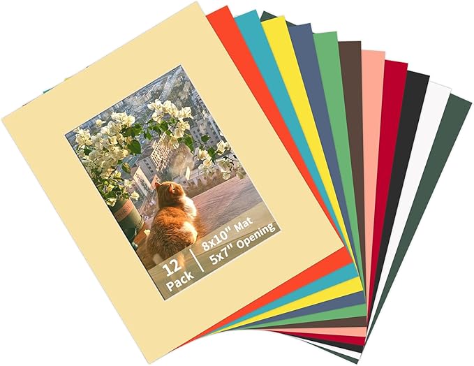ZBEIVAN 12 Packs Mixed Colors 8x10 Picture Frame Mats by ZBEIVAN