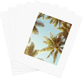 ZBEIVAN 11x14 White Picture Mats by ZBEIVAN