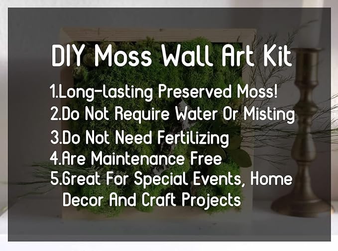 Preserved Reindeer Moss Natural Green DIY Kit Gardenning Art Wall Decor Florist - Image 4