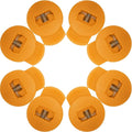 AliBall Glove Locks, Lace Locks for Baseball Glove 8 Pack, Never Need Thying Knots Again, Strong Elasticity, Made Plastic and Springs, Fits All Gloves, Baseball Gloves Accessories