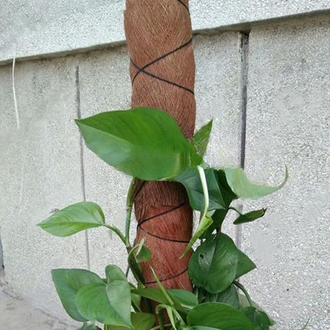 Cabilock 5PCS Realistic Artificial Palmae Bark Garden Decor Plant Accessory - Image 6